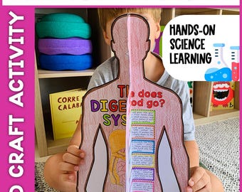 3D-Bastelarbeit zum Verdauungssystem | Wissenschaftliche Aktivität zum menschlichen Körper | Druckbares Anatomieprojekt für Kinder | Lernspaß im Klassenzimmer