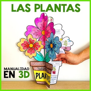 Peut inclure: Une création en papier 3D colorée représentant un arrangement floral dans un pot. Les fleurs sont roses, jaunes et bleues avec des pétales détaillés. Le pot porte le mot "PLANTS". Le texte "LAS PLANTAS" et "MANUALIDAD EN 3D" sont également visibles.