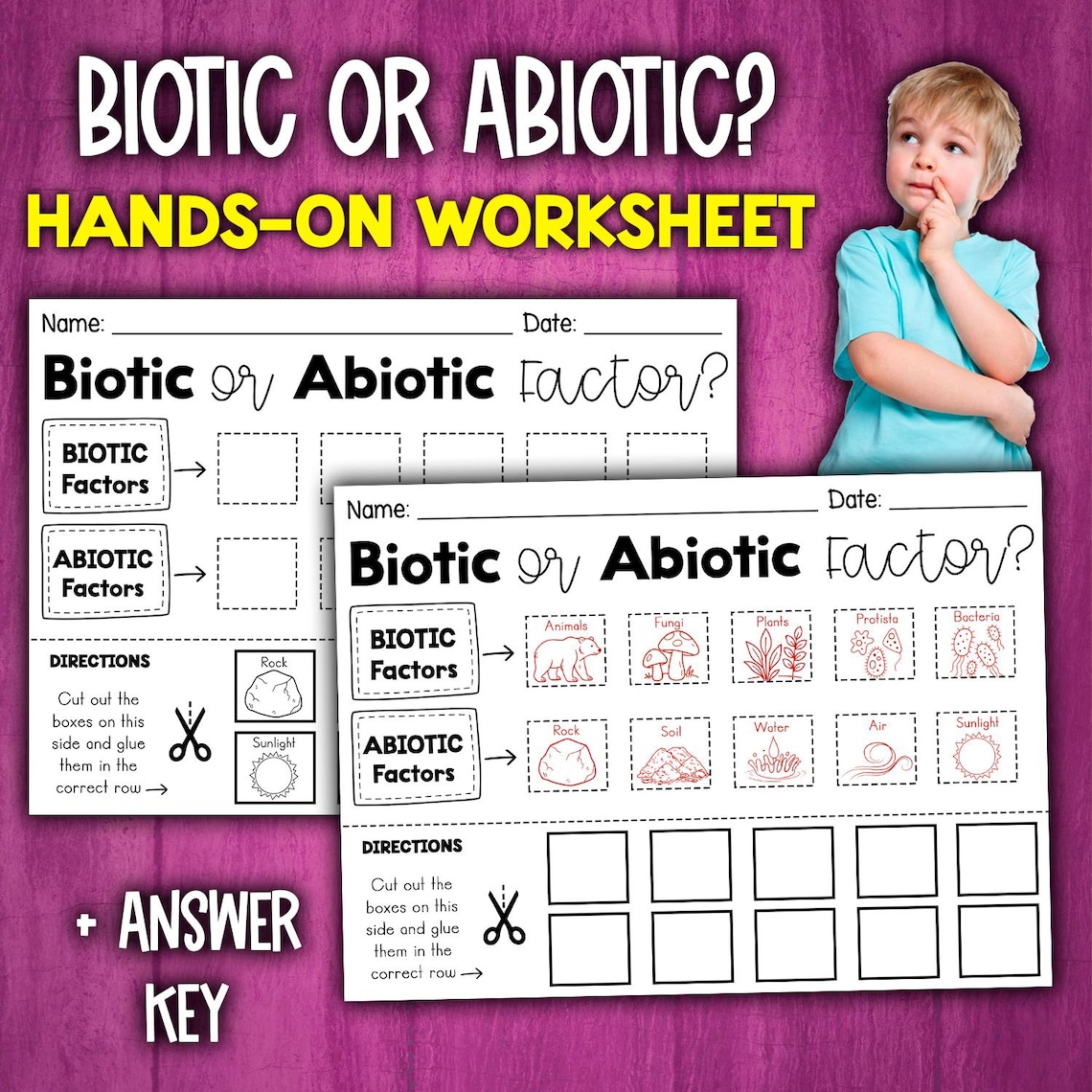 Biotic and Abiotic Factors Sorting Activity | Cut and Paste Worksheet ...