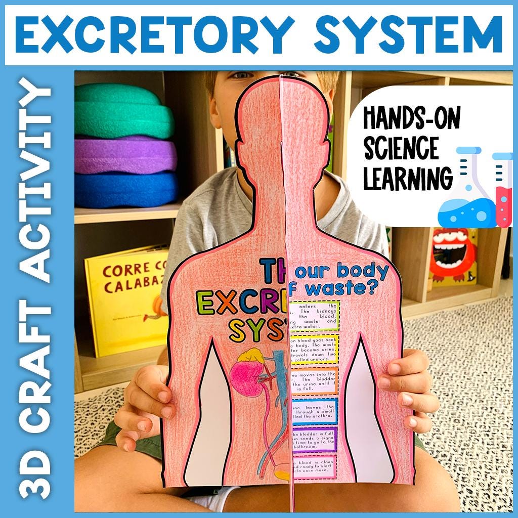 Human Body Systems Project Activity | Human Body 3D Diagrams Models Cut ...