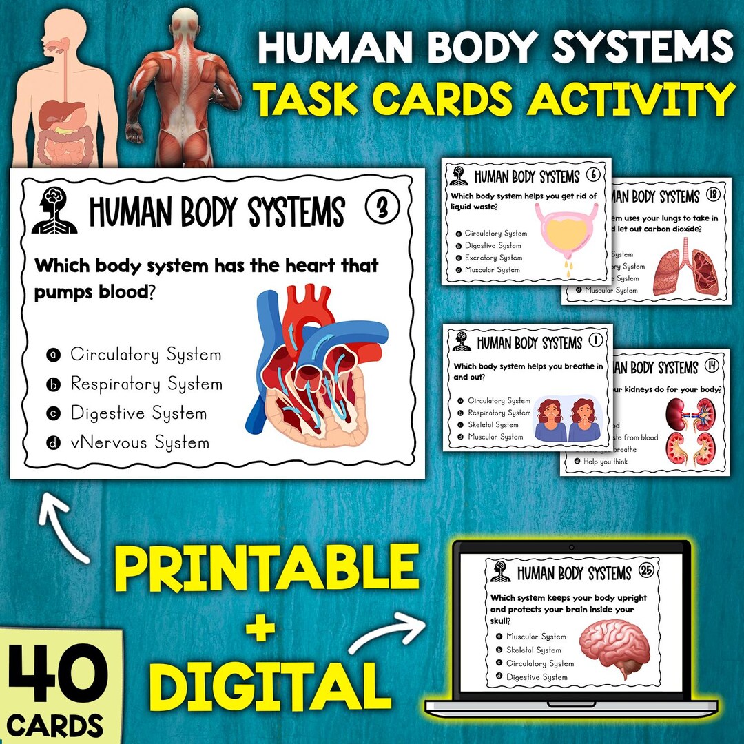 Human Body Systems Task Cards Activity | Human Body Organs Activities ...