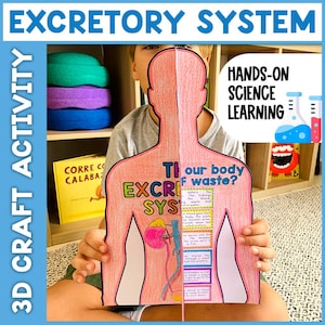 Peut inclure: Un enfant tient un modèle d'activité artisanale 3D du système excréteur. Le modèle est un contour rose d'un corps humain avec des diagrammes étiquetés et le texte "EXCRETORY SYSTEM". L'image comprend également le texte "3D CRAFT ACTIVITY" et "HANDS-ON SCIENCE LEARNING".