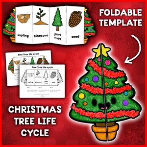 May include: A printable foldable template for a Christmas tree life cycle. The template includes illustrations of a pine tree seed, pinecone, sapling, and mature pine tree. The template also includes the text "Pine Tree life cycle" and "FOLDABLE TEMPLATE".