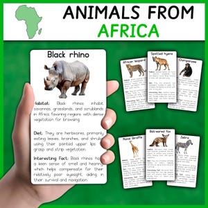 Animals from Africa | African Animals | Flashcards | Informational Cards | Animals of the World