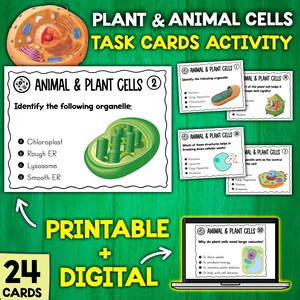 Puede incluir: Tarjetas de tareas imprimibles y digitales para aprender sobre las células vegetales y animales. Las tarjetas presentan ilustraciones coloridas de diferentes orgánulos y preguntas de opción múltiple. El texto en las tarjetas incluye "Animal & Plant Cells" y "Identifica el siguiente orgánulo".