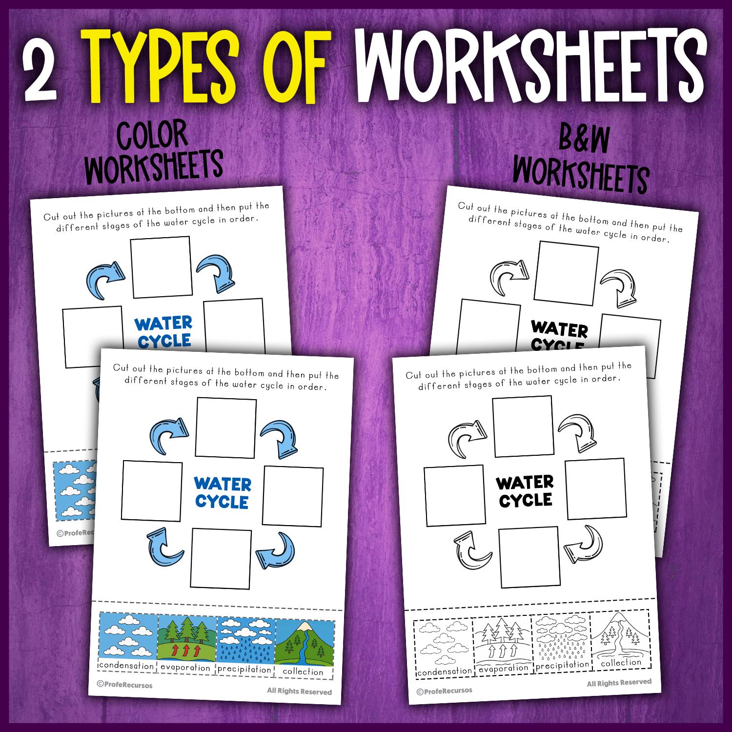 Water Cycle Activity | Cut and Paste Activities | Sorting Activity ...