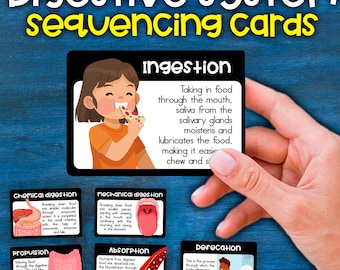 Digestive System Sequencing Cards How Digestive System Works Digestive System Flash Cards of the Digestive System for Kids Digestive System