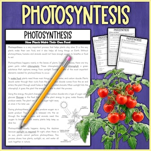 Puede incluir: Póster educativo sobre la fotosíntesis, con texto, diagramas y una planta de tomate con tomates rojos maduros. Un lápiz amarillo señala el texto. El póster está diseñado para fines educativos.