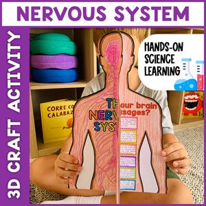Könnte beinhalten: Eine 3D-Bastelaktivität mit einem Diagramm des menschlichen Körpers mit den Worten "NERVOUS SYSTEM" und "HANDS-ON SCIENCE LEARNING". Das Diagramm wird von einer Person gehalten. Das Diagramm enthält den Text "Thour brain messages?" und "NER SYS".