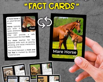 Infokarten zu Wildtieren zu Mutter und Baby. Lernkarten zu Wildtieren zu Mutter und Baby. Informationskarten zu Wildtieren zu Mutter und Baby. Einheit zu Wildtieren