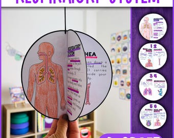 Respiratory System 3D Craft Activity | Science Craft Activity | Body Systems