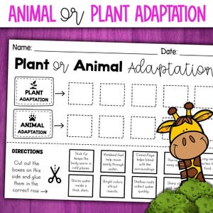 Puede incluir: Hoja de trabajo imprimible en blanco y negro con el título "Adaptación de plantas o animales". La hoja de trabajo tiene dos casillas etiquetadas como "Adaptación de plantas" y "Adaptación de animales". Hay 8 casillas en blanco debajo de las etiquetas. La hoja de trabajo tiene una lista de adaptaciones para plantas y animales, como "El pelaje grueso mantiene el cuerpo caliente en lugares fríos" y "Las patas palmeadas ayudan a moverse fácilmente a través del agua".