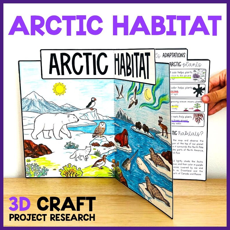 Animal Habitats & Biomes 3D Craft Activity Bundle | Ecosystems Science ...