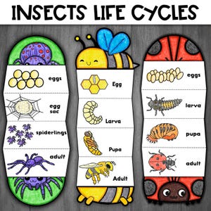 Puede incluir: Una ilustración colorida que muestra los ciclos de vida de tres insectos: una araña, una abeja y una mariquita. El ciclo de vida de cada insecto se muestra en un panel separado, con etapas etiquetadas como 'huevos', 'saco de huevos', 'arañitas', 'adulto', 'Huevo', 'Larva', 'Pupa', 'Adulto', 'huevos', 'larva', 'pupa', 'adulto'.