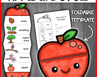 Apple Life Cycle Activity Craft | Life cycle of an Apple | Apple Tree life Cycle | Apple Paper Craft Foldable Template