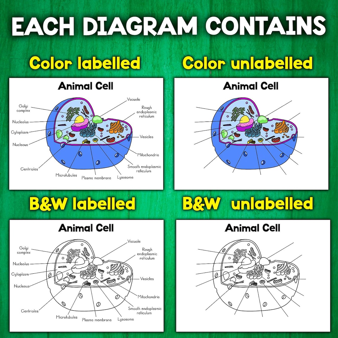 Animal and Plant Cell Diagrams | Color, B&W, Labeled, Unlabeled Cell ...