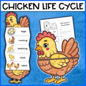 Puede incluir: Un gráfico educativo colorido que ilustra el ciclo de vida del pollo, con una gallina de dibujos animados y un diagrama plegable. El diagrama muestra las etapas: huevos, descanso, eclosión, pollito y adulto. El texto "CHICKEN LIFE CYCLE" está en la parte superior.