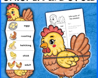 Chicken Life Cycle Activity | Chicken Craft Foldable Template | Life cycle of a Chicken | Hen Craft Activity