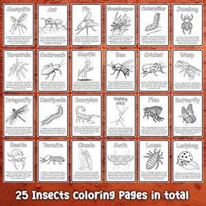 May include: A set of 25 black and white coloring pages featuring different insects, such as a mosquito, ant, fly, grasshopper, caterpillar, junebug, tarantula, cockroach, mantis, bee, cricket, wasp, dragonfly, centipede, scorpion, walking stick, flea, butterfly, beetle, termite, cicada, moth, louse, and ladybug. The text "25 Insects Coloring Pages in total" is at the bottom of the page.