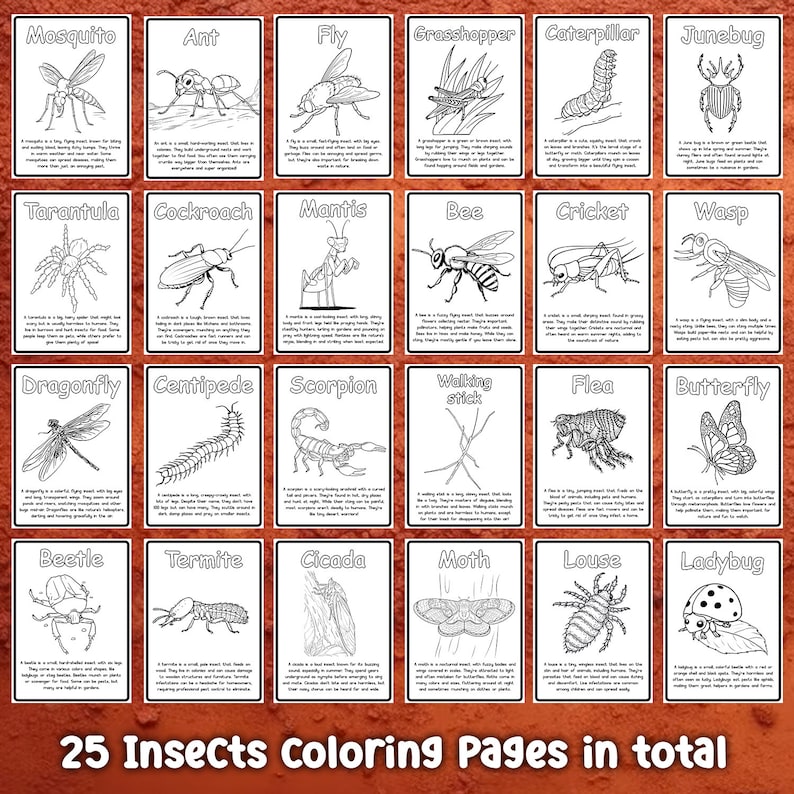 May include: A set of 25 black and white coloring pages featuring different insects, such as a mosquito, ant, fly, grasshopper, caterpillar, junebug, tarantula, cockroach, mantis, bee, cricket, wasp, dragonfly, centipede, scorpion, walking stick, flea, butterfly, beetle, termite, cicada, moth, louse, and ladybug. The text "25 Insects Coloring Pages in total" is at the bottom of the page.