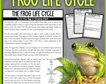 FROG LIFE CYCLE Reading Comprehension + Worksheets | Life Cycle of a Frog Activity for Kids