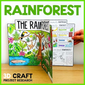 Może przedstawiać: Kolorowy projekt rzemieślniczy 3D zatytułowany "RAINFOREST" z tekstem "THE RAINFOREST" na okładce. Wewnętrzne strony zawierają ilustracje zwierząt i roślin lasu deszczowego z tekstem edukacyjnym. Projekt zawiera tekst "3D CRAFT PROJECT RESEARCH".
