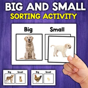 Big and Small Sorting Activity | Sorting by Size Activity | Basic Concepts Activities | Montessori Sorting Activity
