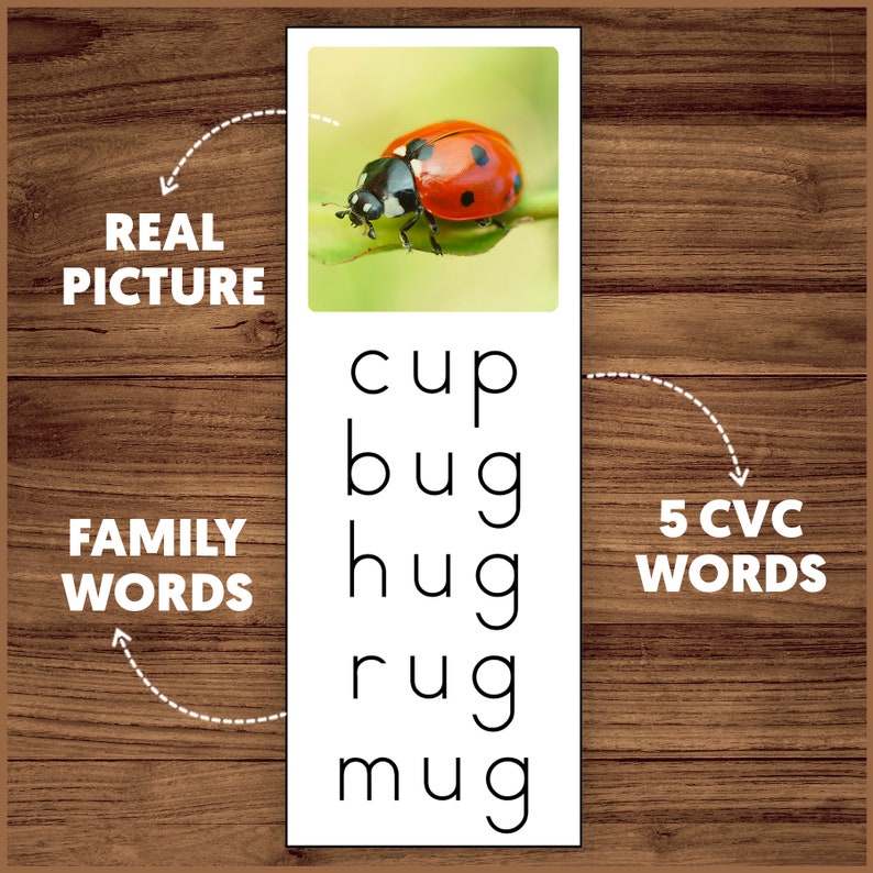 CVC Word Families CVC and Phonics Reading Activities Phonics Reading ...