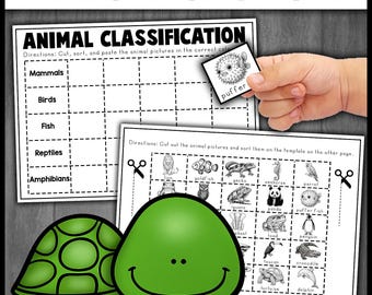 Tierklassifizierung Sortieren | Säugetiere, Vögel, Fische, Reptilien und Amphibien