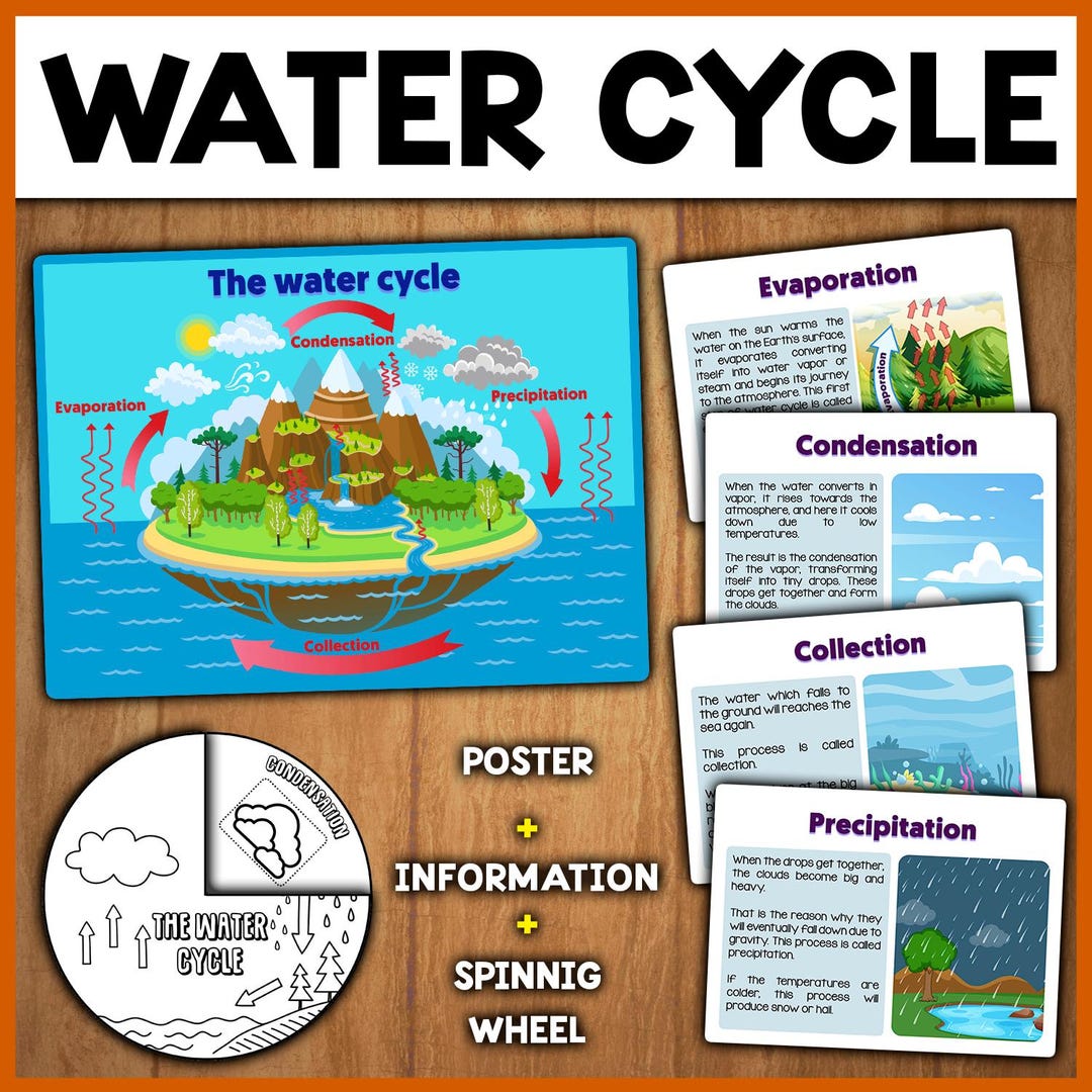 Water Cycle Unit for Kids | Display Poster + Information + Activity ...