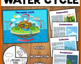 Water Cycle Unit for Kids | Display Poster + Information + Activity | Water Cycle Stages
