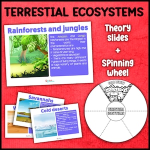 Terrestrial Ecosystems and Biomes | Theory + Craft (Spinning Wheel) | Ecosystems of Earth | Ecosystems unit study for kids