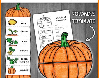 Pumpkin Life Cycle Activity Craft | Life cycle of a Pumpkin | Halloween Pumpkin Craft Activity for Kids