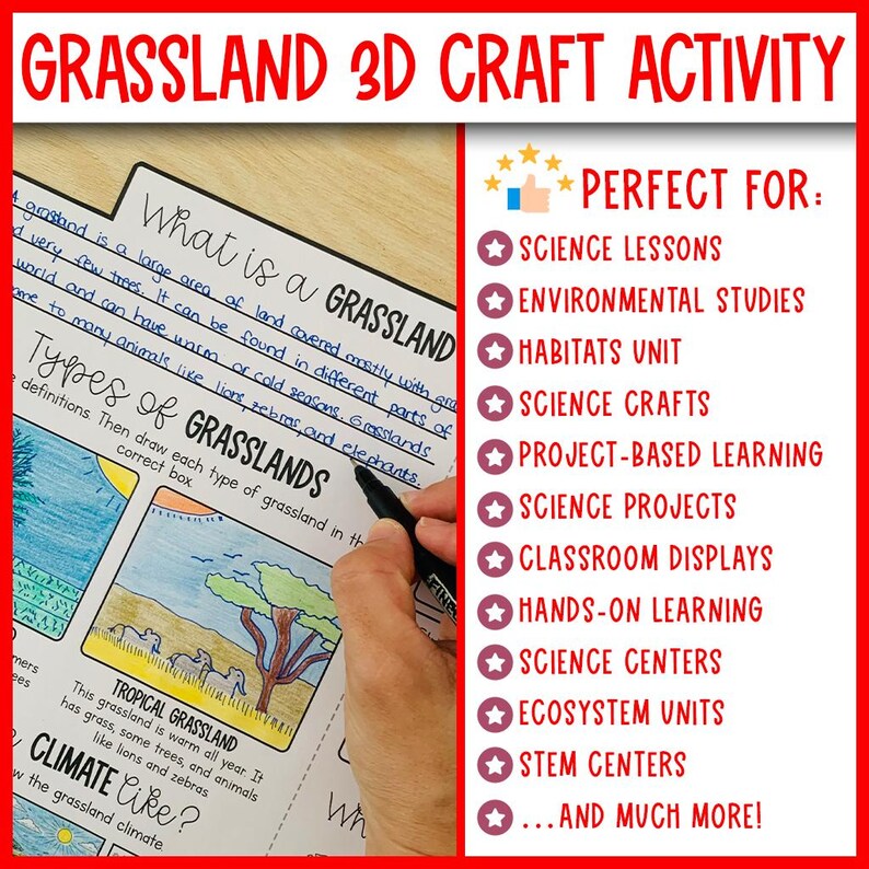 Animal Habitats & Biomes 3D Craft Activity Bundle | Ecosystems Science ...
