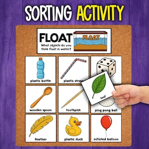 Sink or Float Sorting Activity | 20 Cards SORT | Sink and Float ...