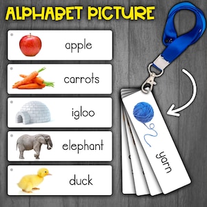 Alphabet Picture Cards | REAL PICTURES | Alphabet Cards Beginning Sounds | Alphabet with Images