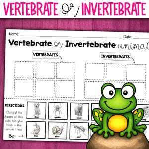 Puede incluir: Una hoja de trabajo titulada "Vertebrado o Invertebrado" con una ilustración de una rana verde. La hoja de trabajo incluye casillas para clasificar animales, con categorías para vertebrados e invertebrados. Se incluyen imágenes de un perro, una araña, un oso, un pez, un caracol y una hormiga.