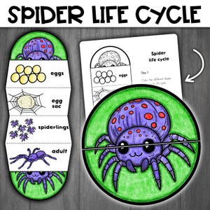 May include: A printable spider life cycle wheel with illustrations of a spider in different stages of its life cycle. The stages include eggs, egg sac, spiderlings, and adult. The wheel is divided into four sections, each with a different stage of the life cycle. The wheel is designed to be cut out and assembled.