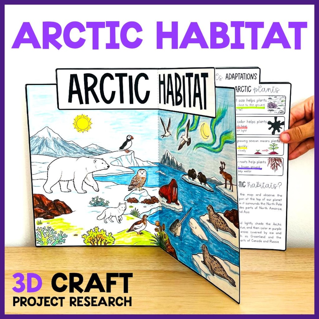 ARCTIC Habitat | 3D Craft Activity | Biomes Hands-on Science Learning ...