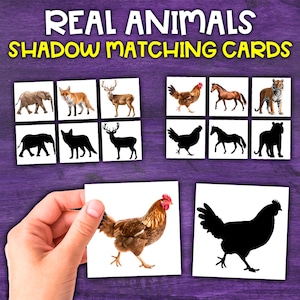 May include: A set of shadow matching cards featuring real animals. The cards show images of a tiger, horse, chicken, deer, fox, and elephant, along with their corresponding silhouettes.