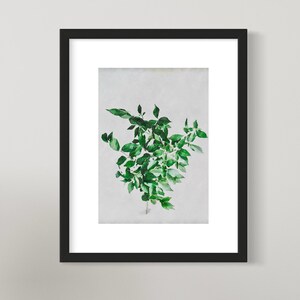 Botanical Wall Art Print - Watercolour Green Leaf - Plant - A4