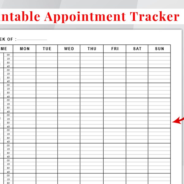 Printable Appointment Tracker, Meeting Tracker, Appointment Reminder, Minute Interval Appointment Planner, Instant Download PDF US Letter,A4