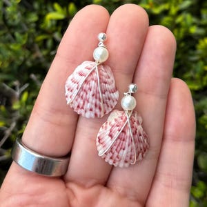 Scallop seashell earrings, seashell studs, seashell stud earrings, hypoallergenic earrings, beach earrings Sterling silver earrings 925