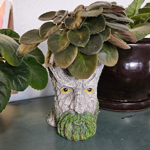 May include: A green and gray ceramic planter shaped like a face with a beard. The planter has yellow eyes and is holding a green plant with dark green leaves.
