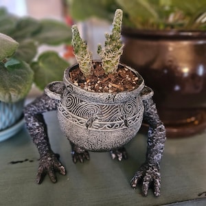 May include: A gray ceramic planter shaped like a creature with two arms and legs. The planter has a textured surface and is decorated with a swirling pattern. A small cactus plant is growing in the planter.