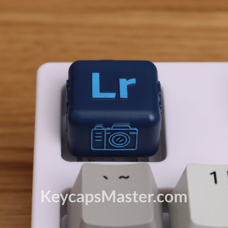 Pode incluir: Uma tecla azul escura com um &iacute;cone de c&acirc;mera azul claro e as letras "Lr" em azul claro.