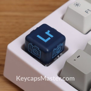 Pode incluir: Uma tecla azul escura com um "Lr" azul claro impresso nela. A tecla tem um &iacute;cone de c&acirc;mera de cada lado. A tecla est&aacute; em um teclado branco.