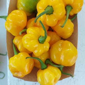 May include: A close-up shot of a brown paper container filled with bright yellow peppers. The peppers have a unique, ruffled shape and green stems. One green pepper is also visible. The peppers are on a white surface.