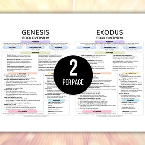 Womens Bible Study Guide, Printable Womens Bible Study Guide for Reflection, Bible Book Summary, Womens Bible Study Planner, Bible Summary