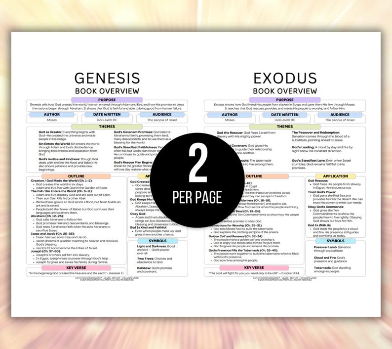 Womens Bible Study Guide, Printable Womens Bible Study Guide for Reflection, Bible Book Summary, Womens Bible Study Planner, Bible Summary